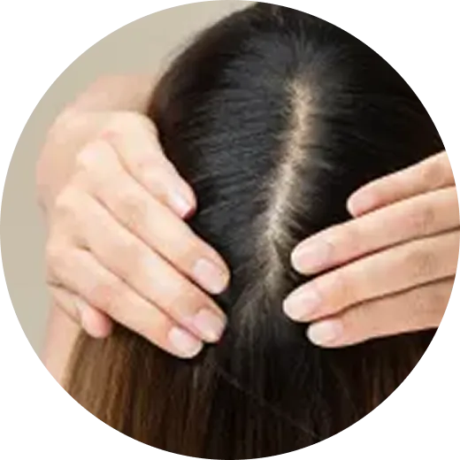 頭部の写真撮影