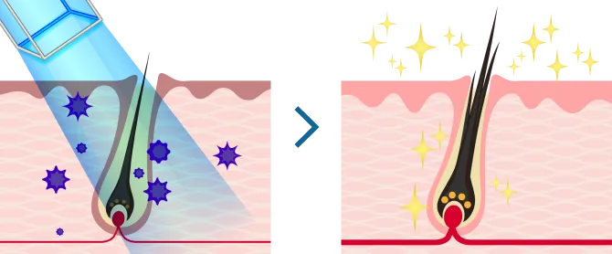 当院の治療について