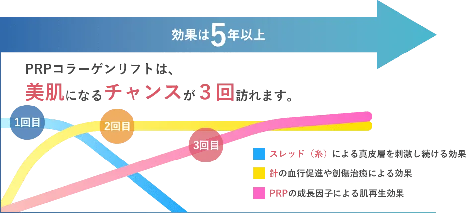 PRPコラーゲンリフトのメカニズム ②