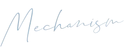 mechanism
