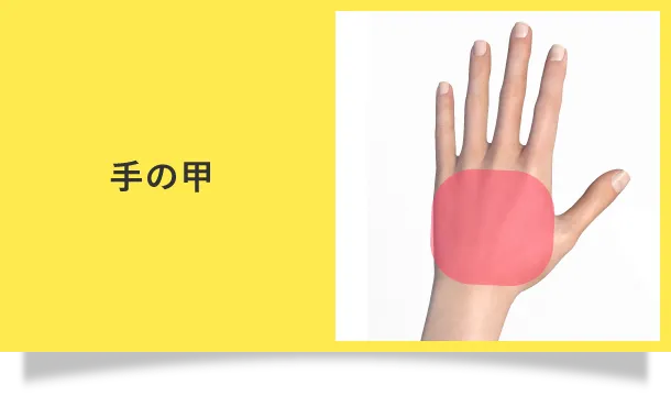手の甲