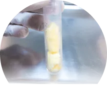 成長因子が通常PRP注射の2倍以上！