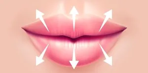 全体ボリュームアップ