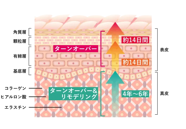 PRPピーリングポレーションのココがPOINT！
