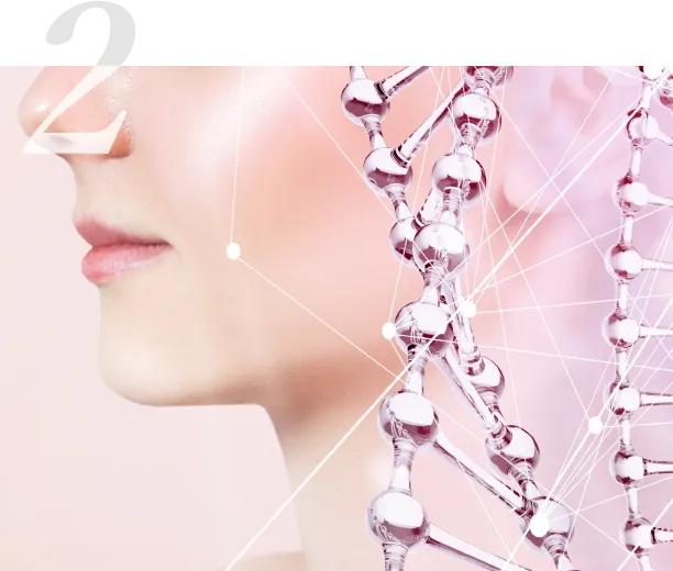 ご自身から生まれた成分のため、大量に導入（浸透）させても安全