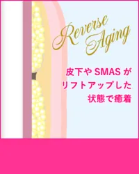 糸の吸収後でもリフトアップ効果が持続