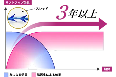 スレッドから組織再生へのバトンタッチ